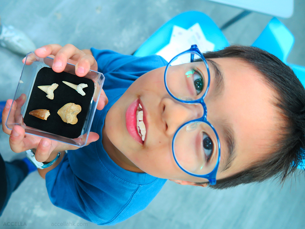 Caleb C.'s fossil shark tooth collection is off to an excellent start!